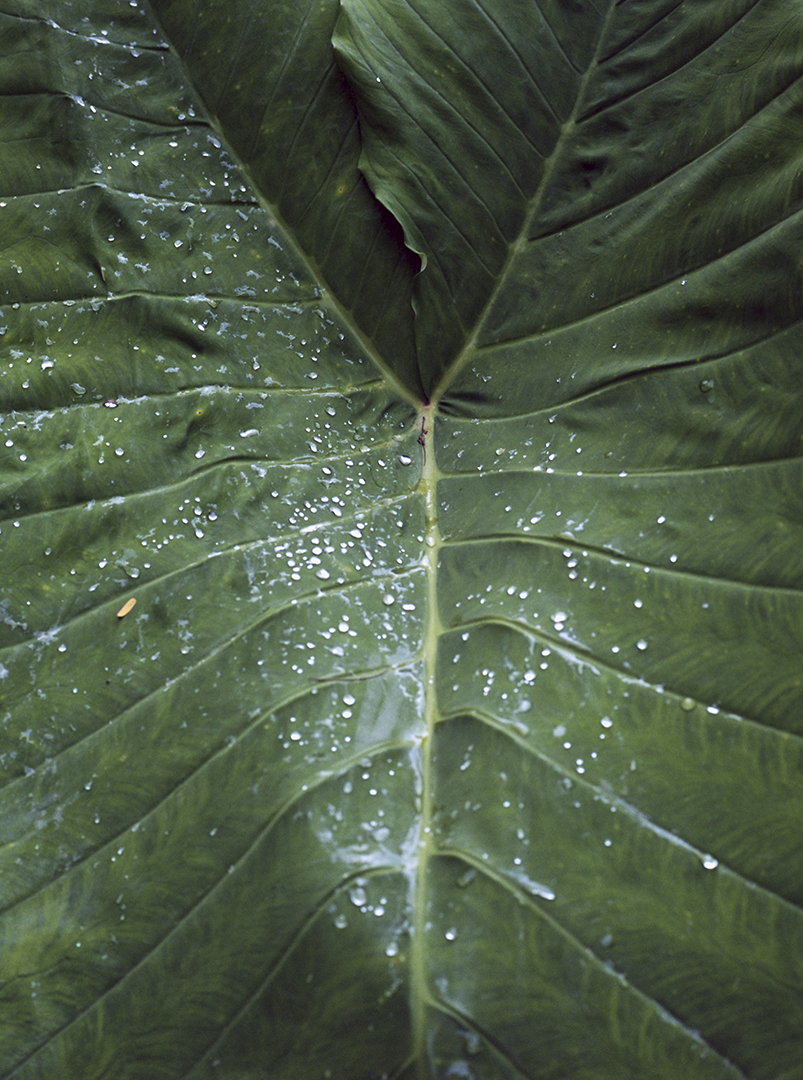 Aude Le Barbey Photographer for Colombie