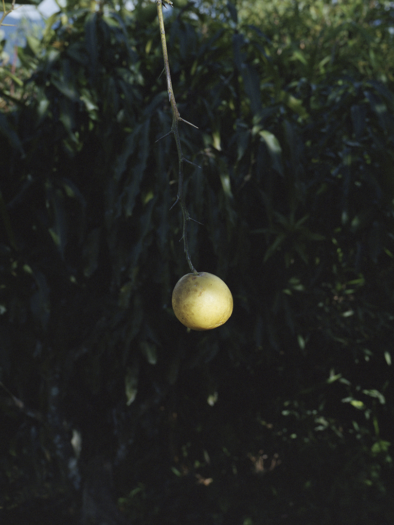 Aude Le Barbey Photographer for Colombie