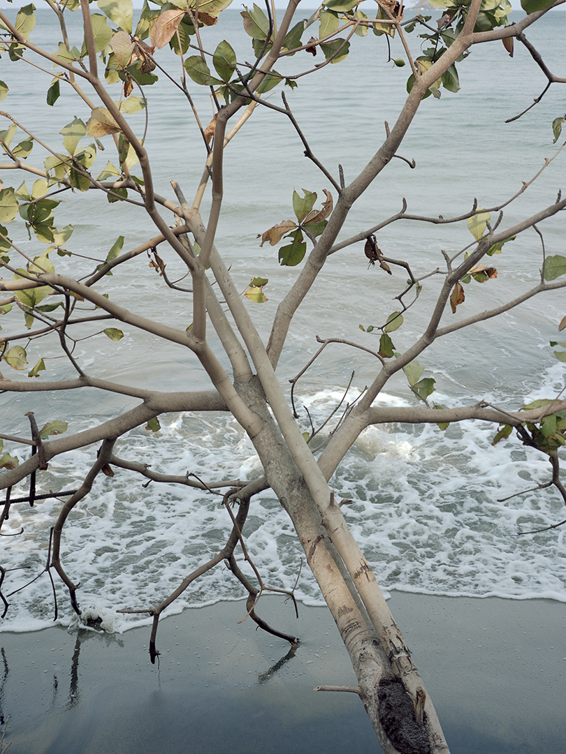 Aude Le Barbey Photographer for Colombie