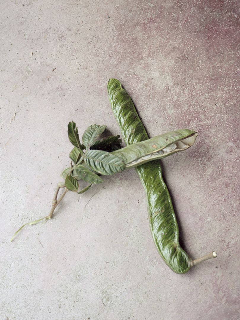 Aude Le Barbey Photographer for Colombie