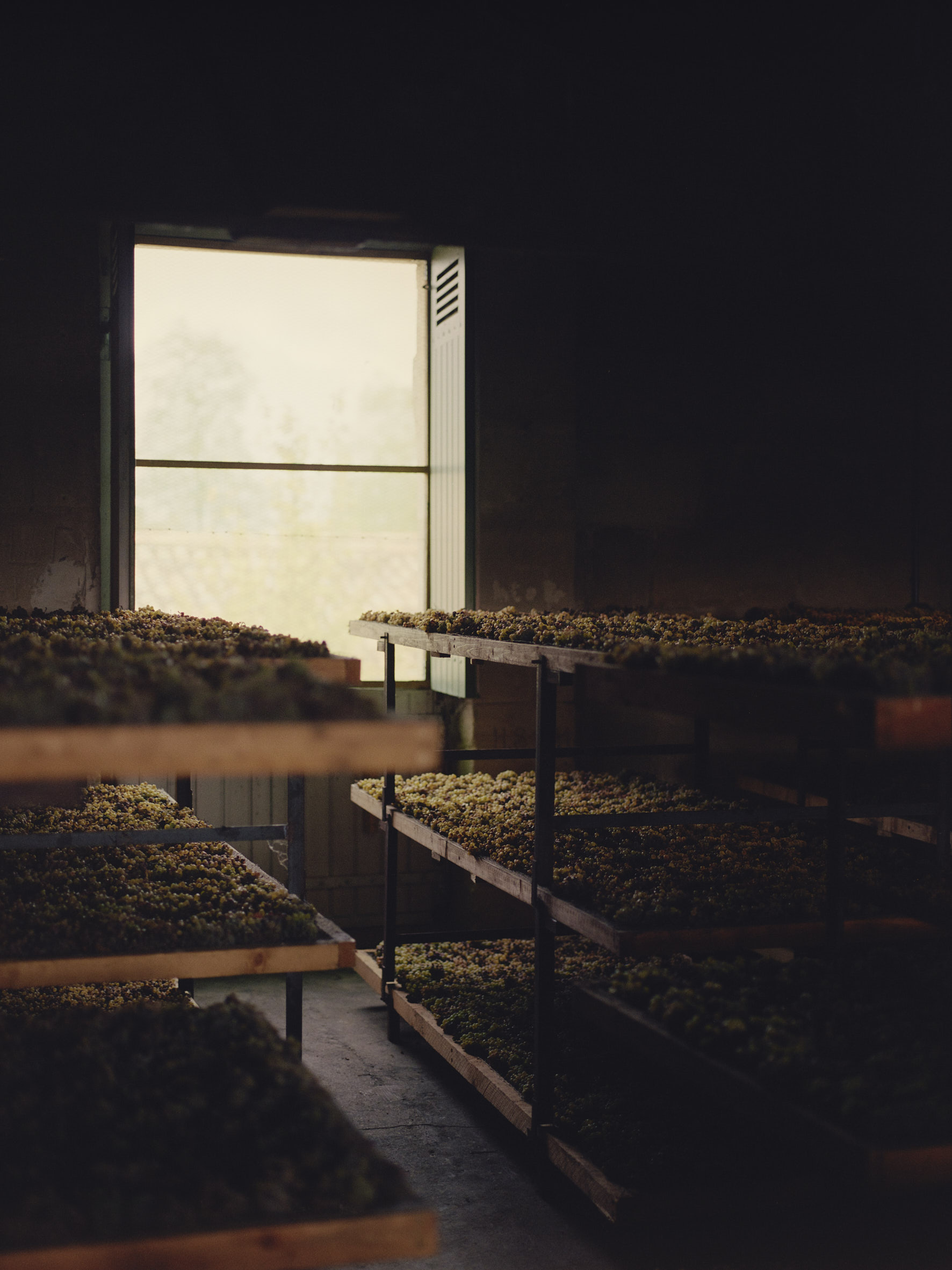 Aude Le Barbey Photographer for Holiday Magazine Interior Garden