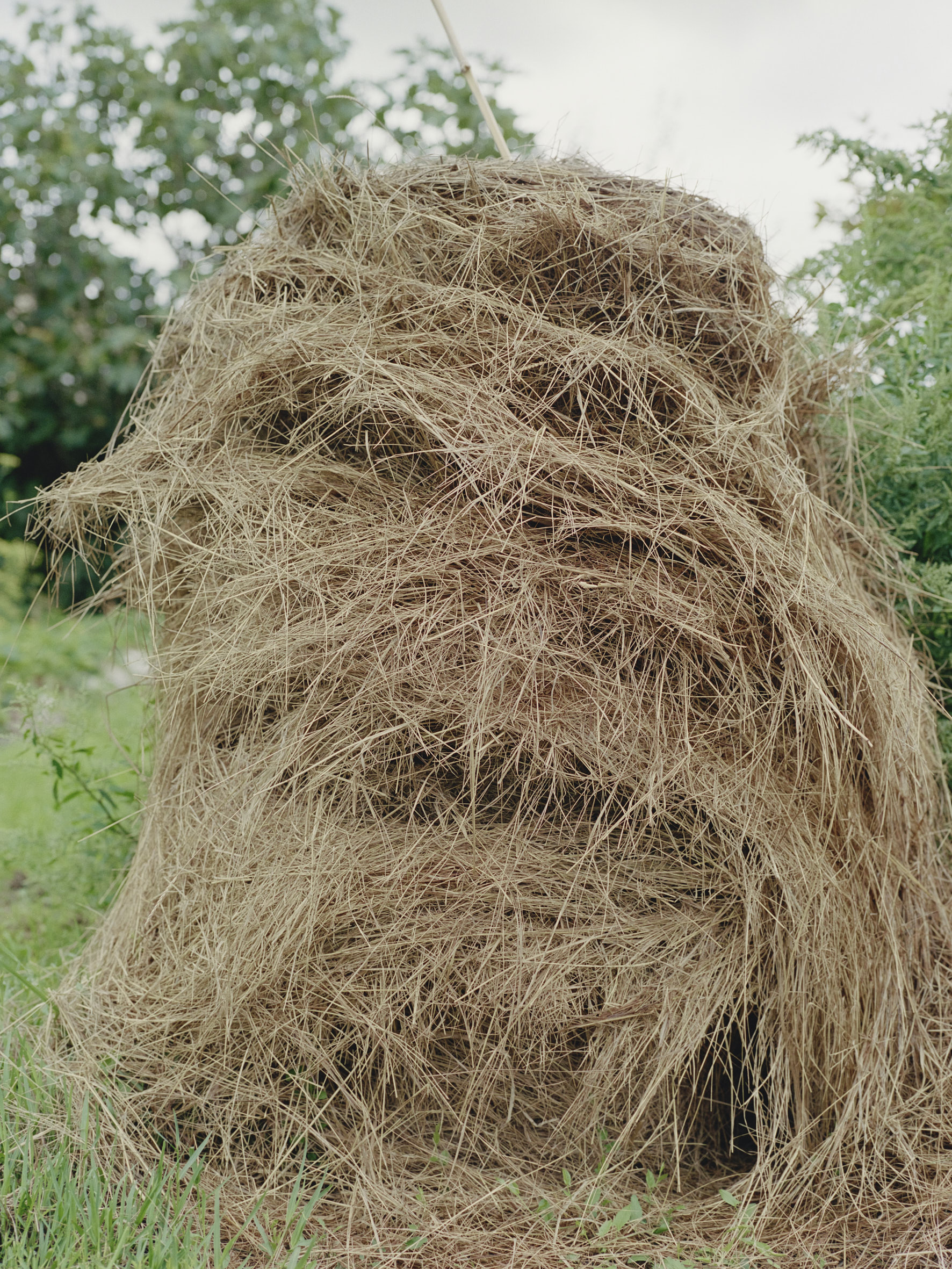 Aude Le Barbey Photographer for Holiday Magazine Interior Garden