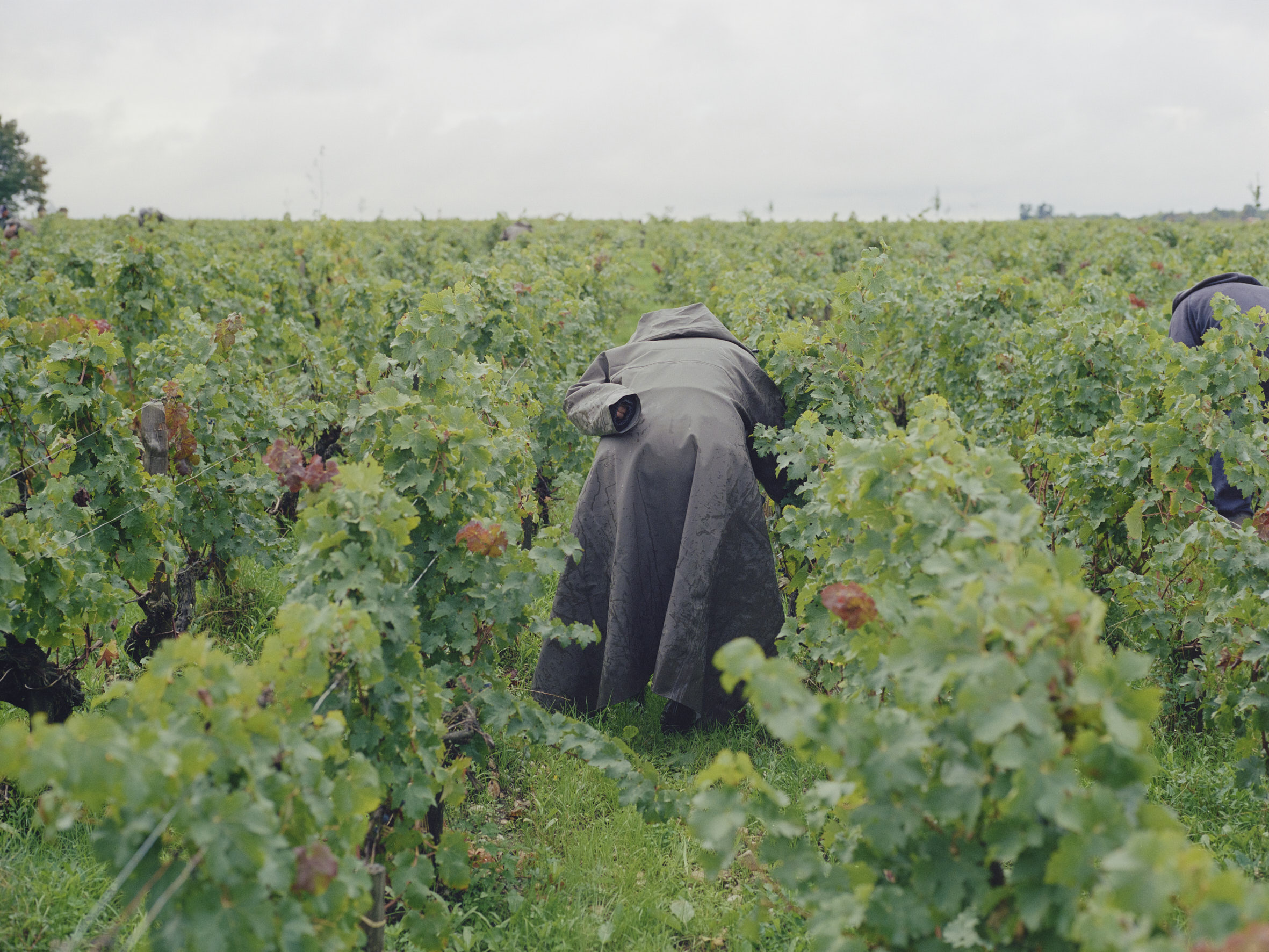 Aude Le Barbey Photographer for Holiday Magazine Interior Garden