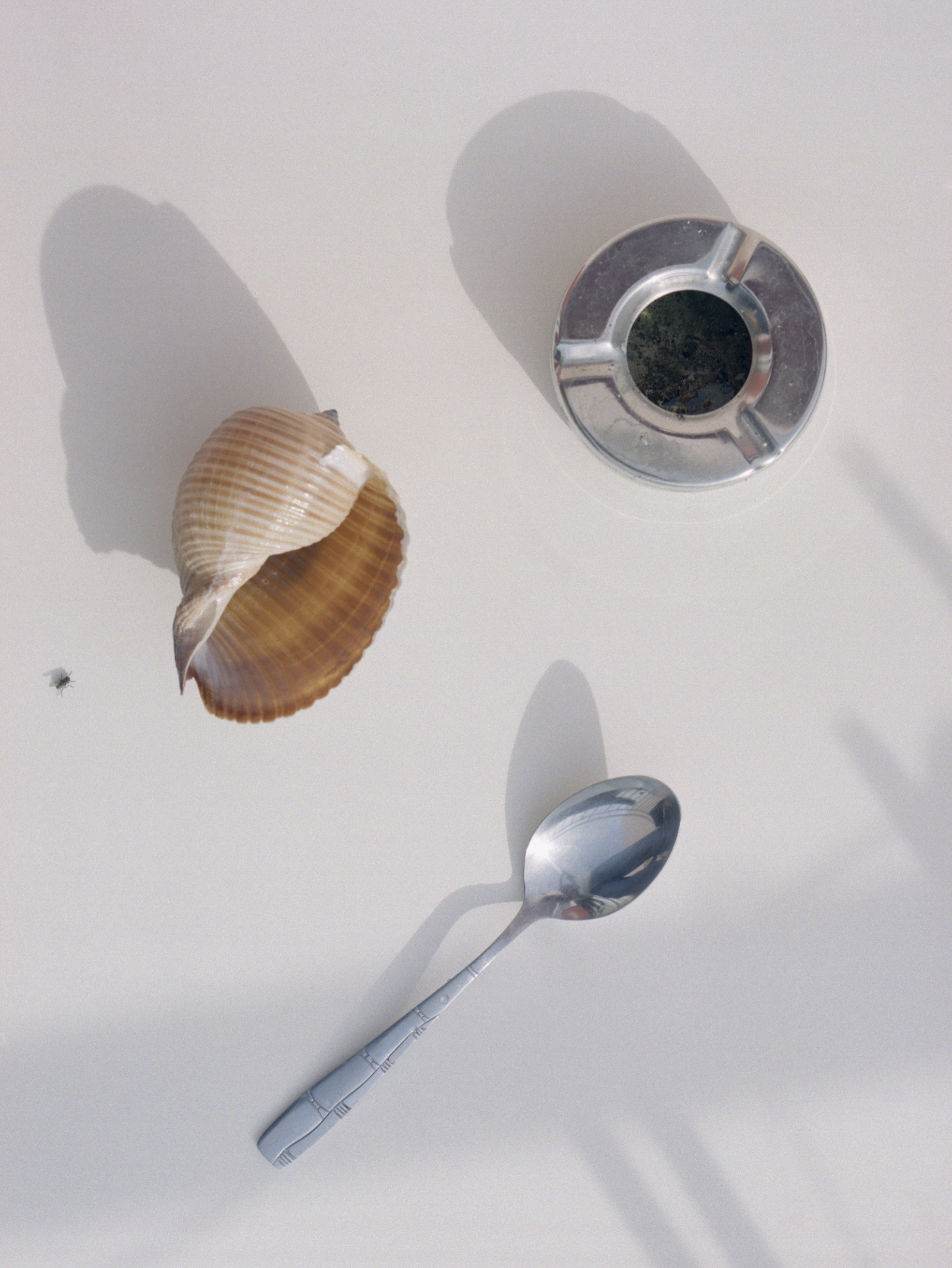 Aude Le Barbey Photographer for Mediteranée