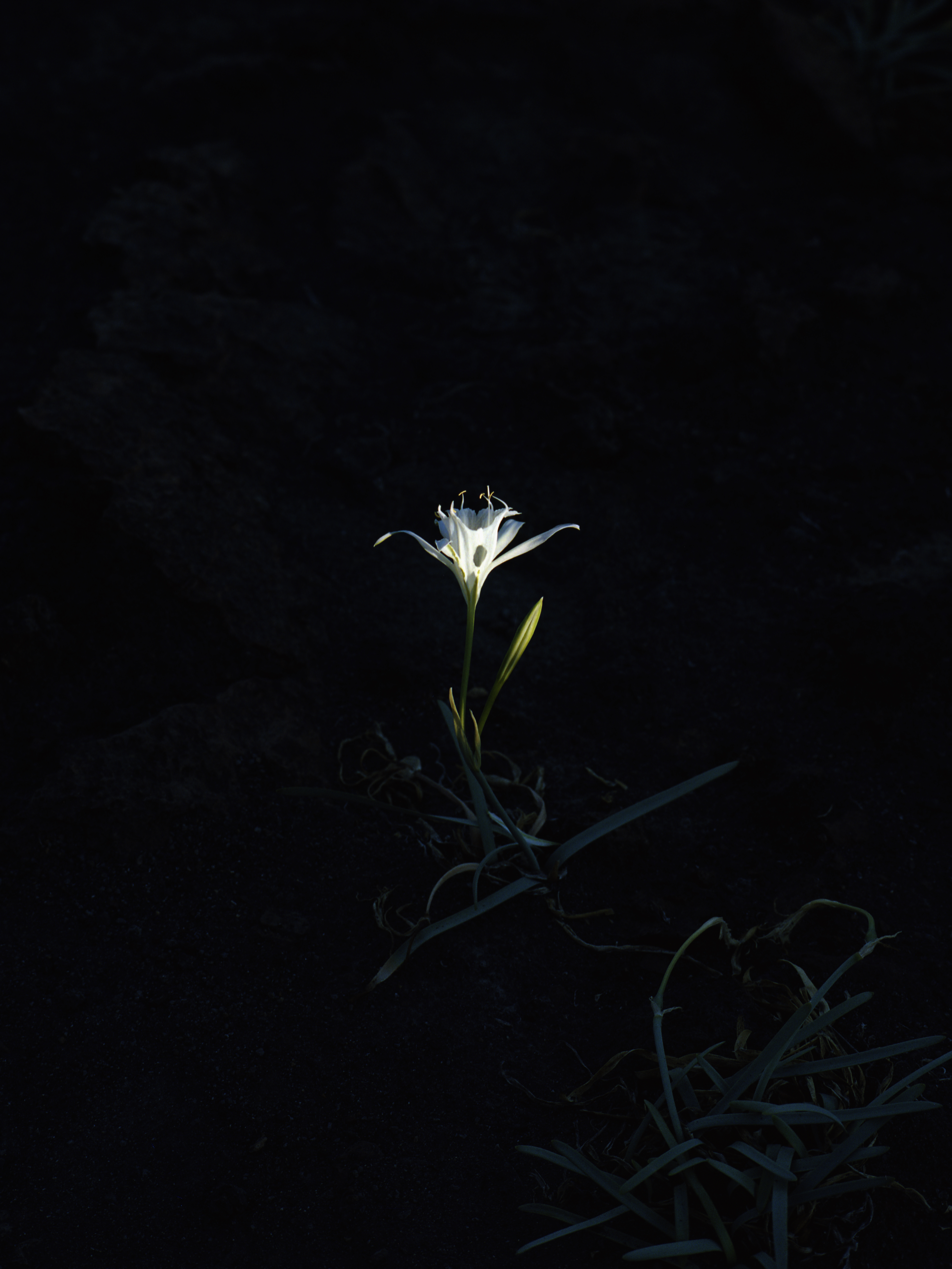 Aude Le Barbey Photographer for Mediteranée