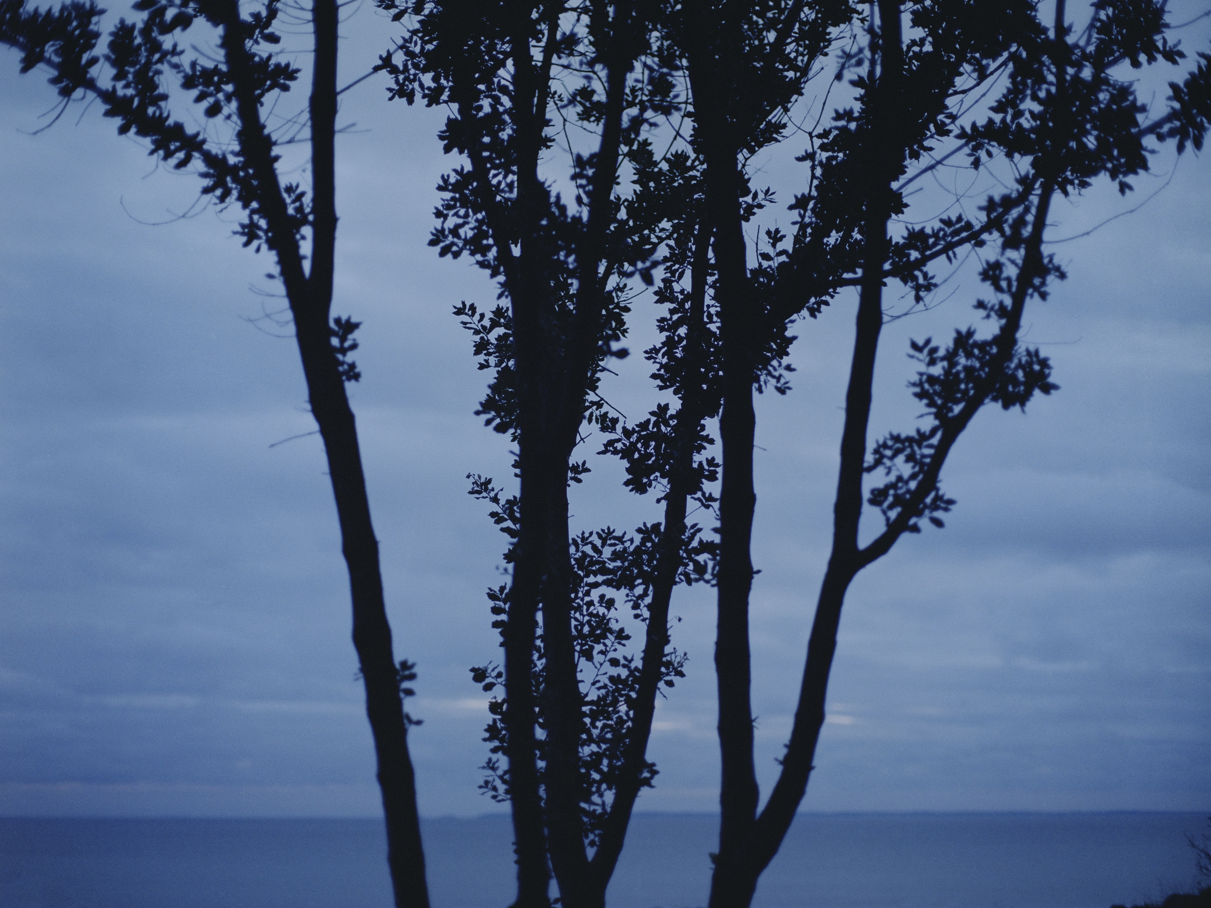 Aude Le Barbey Photographer for Normandie