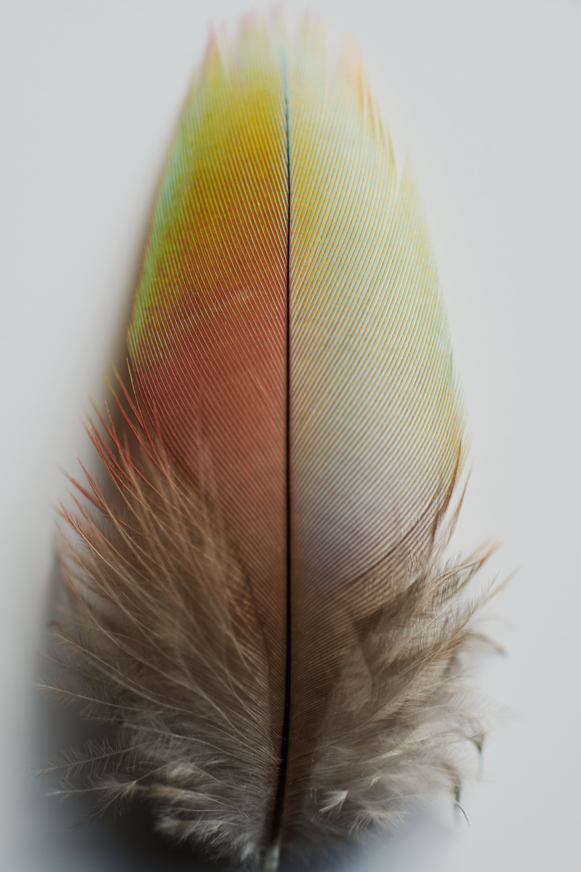 Aude Le Barbey Photographer for Present Space
