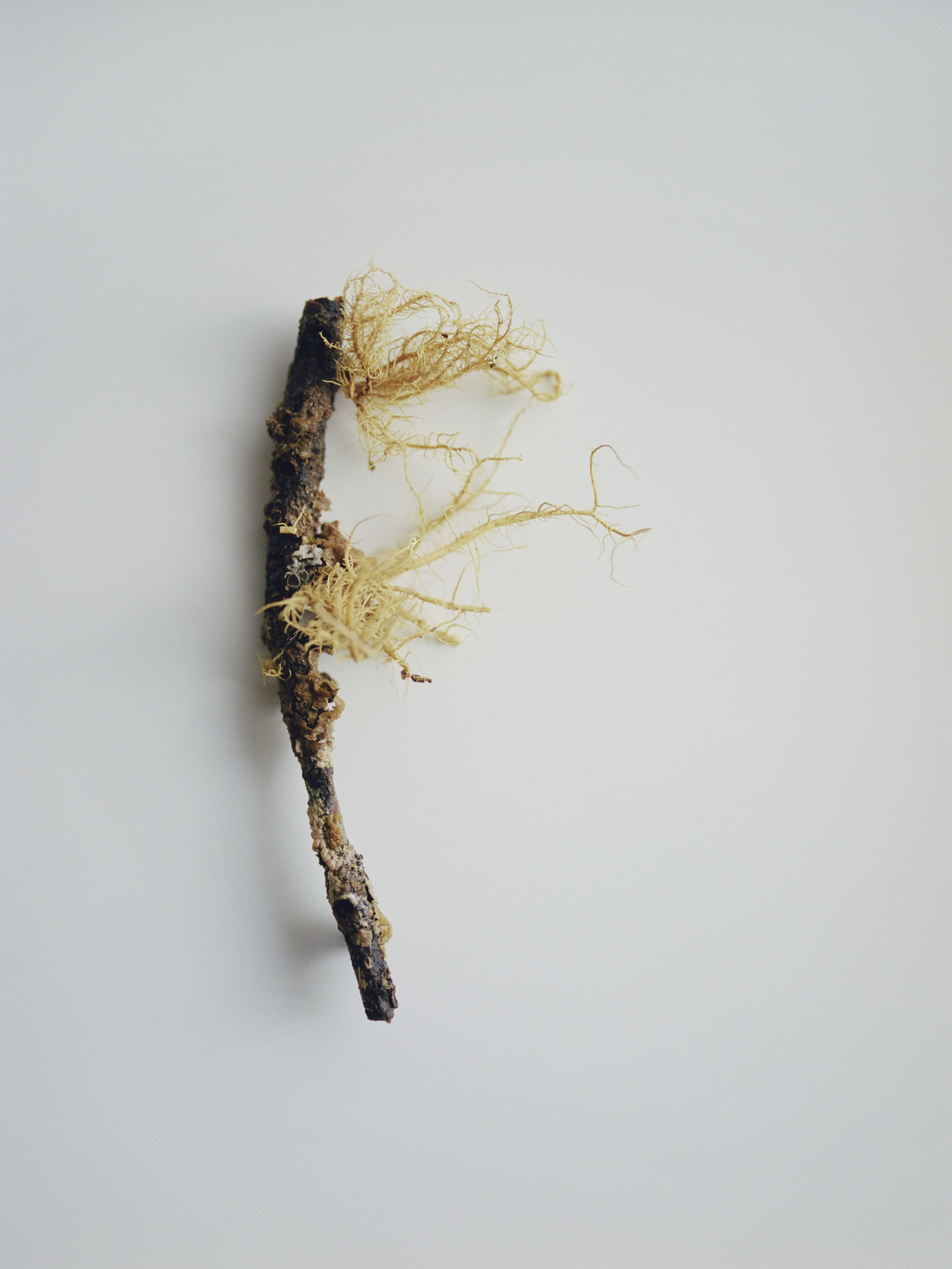 Aude Le Barbey Photographer for Present Space