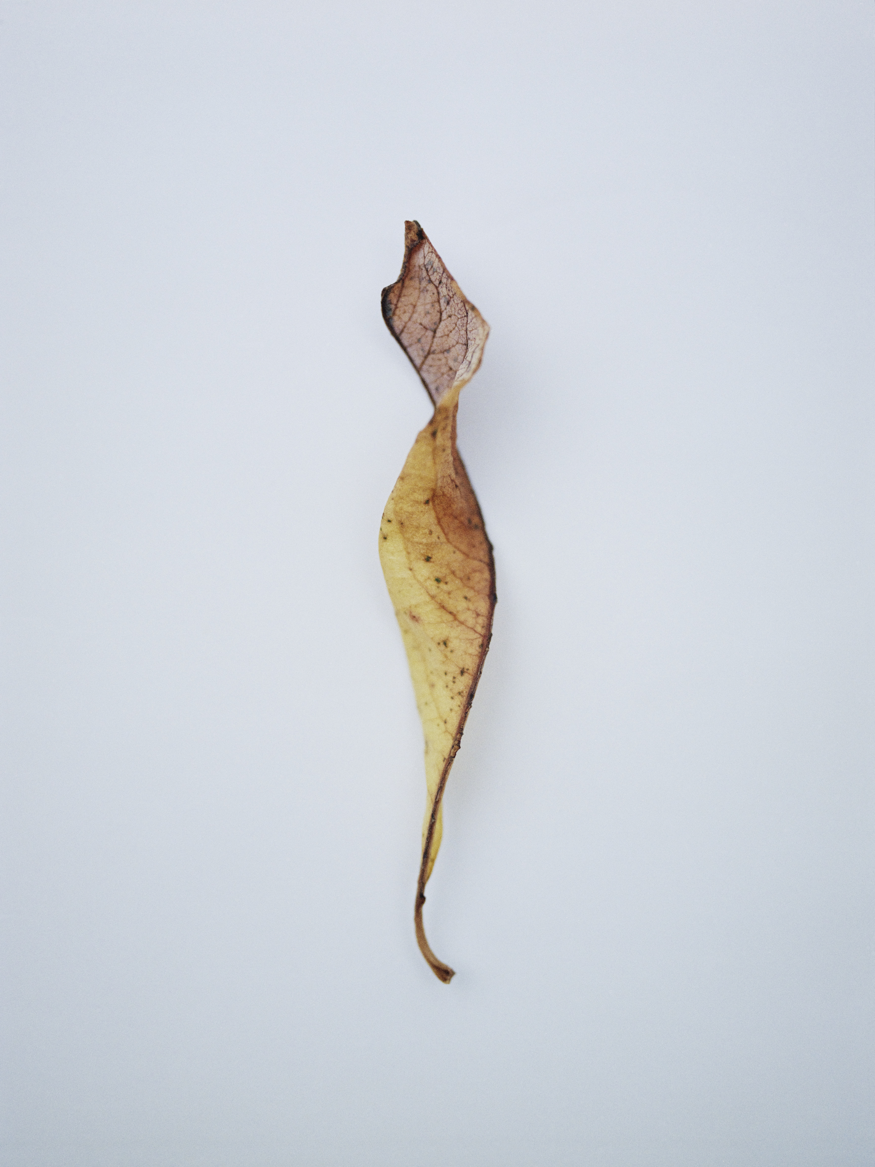 Aude Le Barbey Photographer for Various project