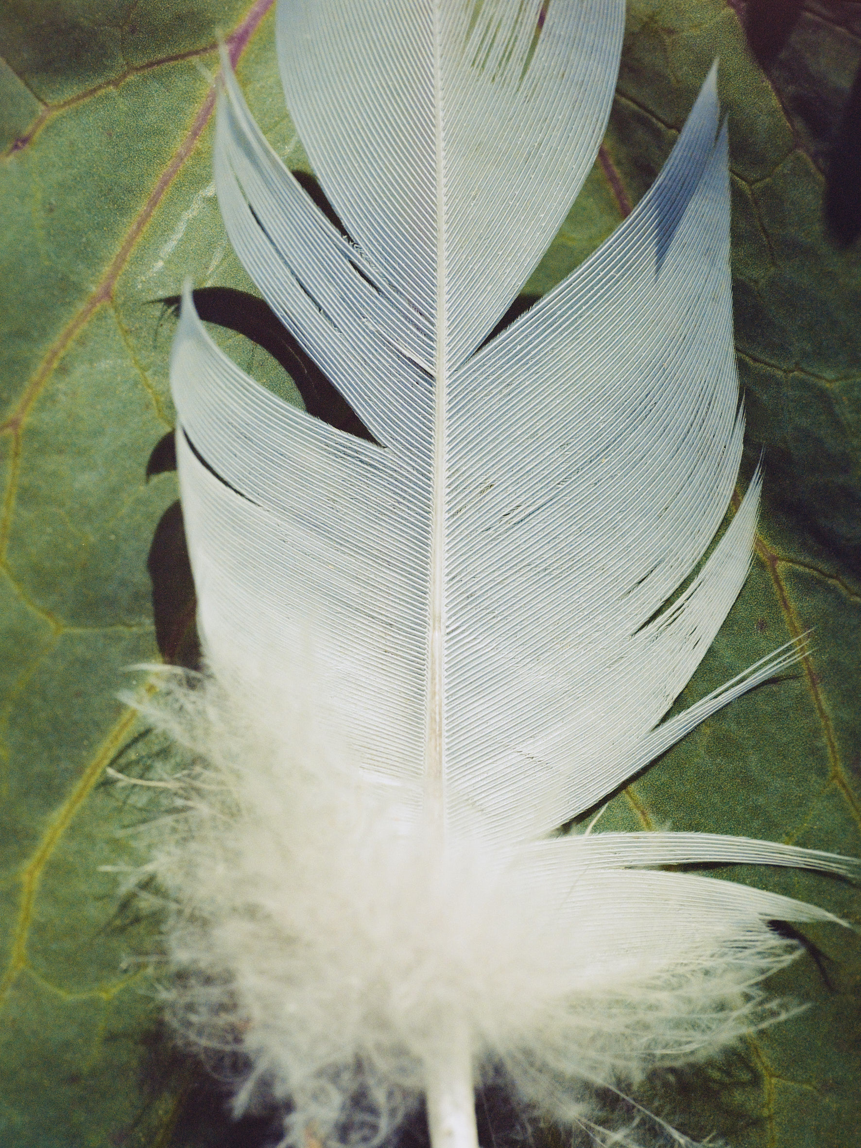 Aude Le Barbey Photographer for Various project