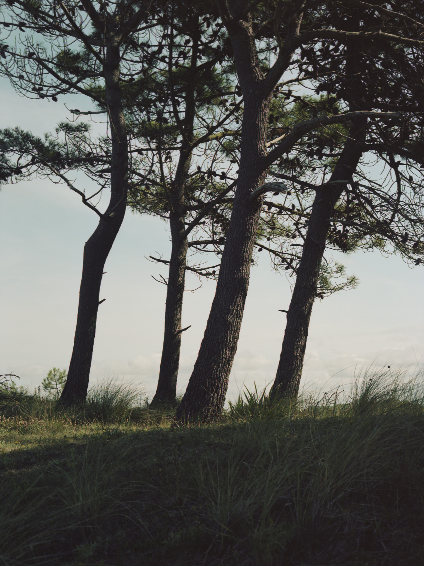 Aude Le Barbey Photographer for Various project