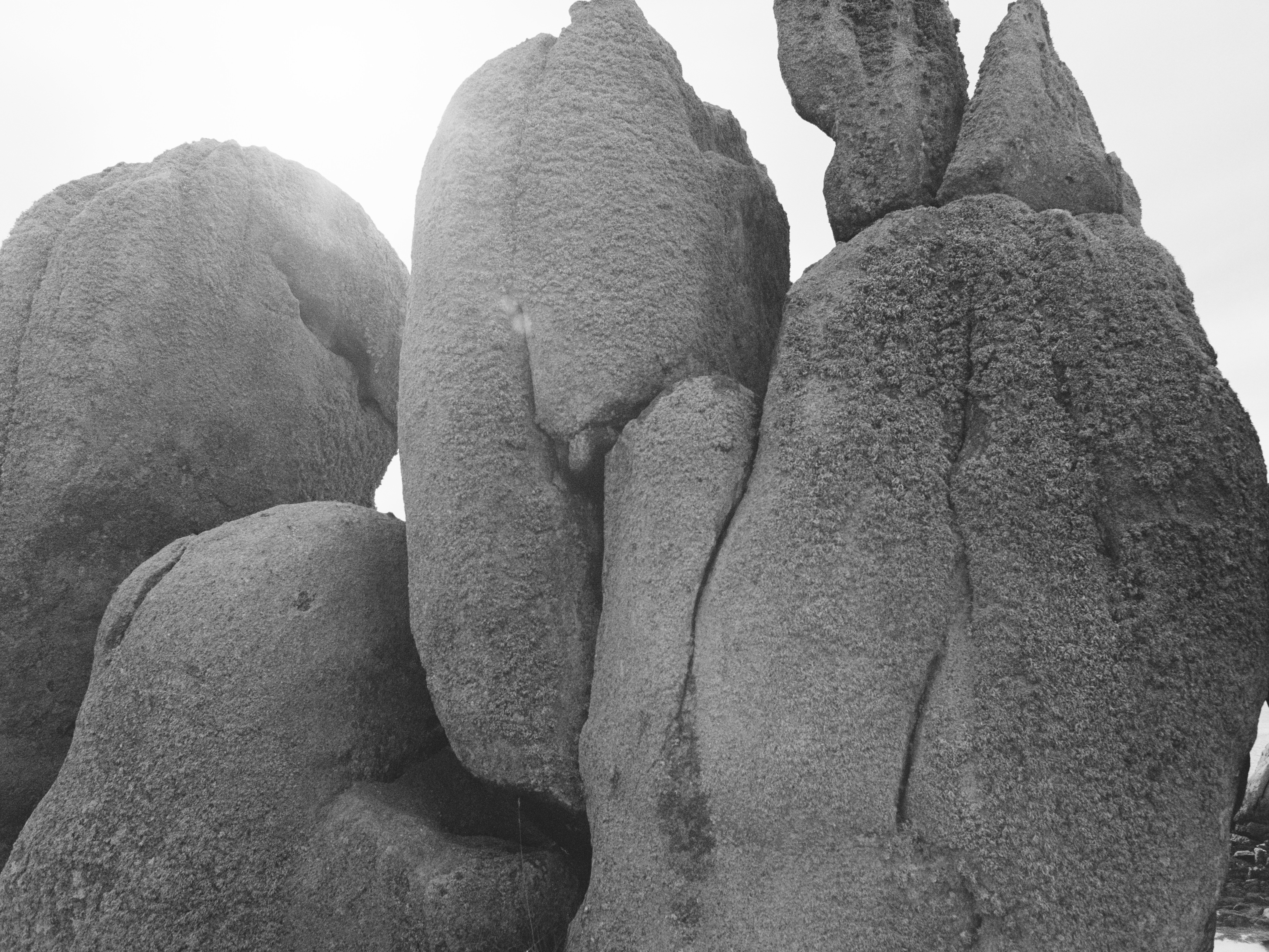 Aude Le Barbey Photographer for Various project