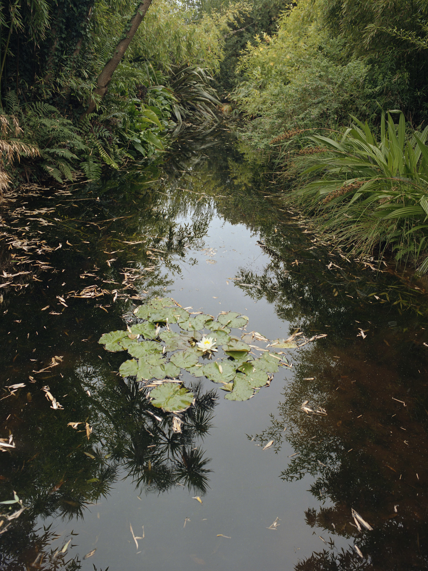 Aude Le Barbey Photographer for Various project