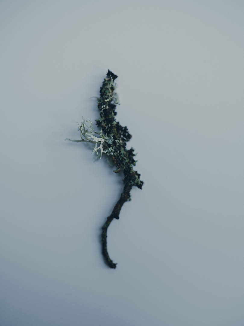 Charlotte Lapalus Photographer for Austria