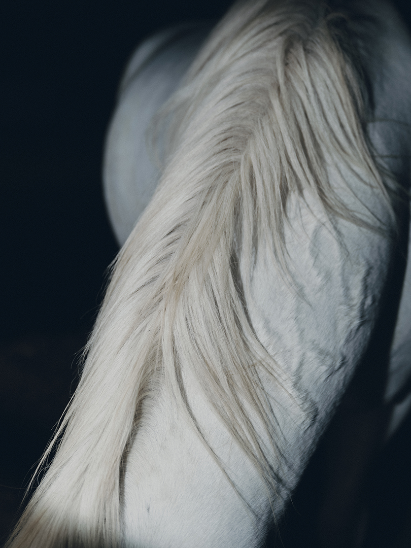 Charlotte Lapalus Photographer for Austria