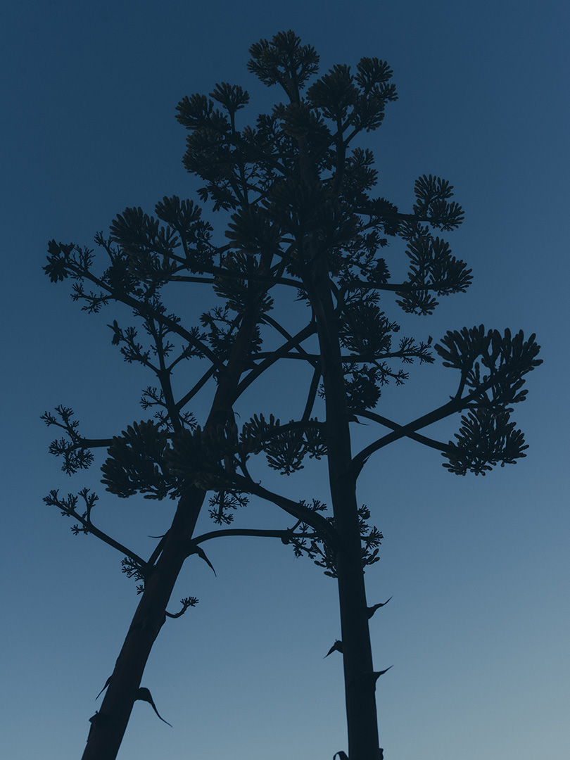 Charlotte Lapalus Photographer for De D'eau, Exposition