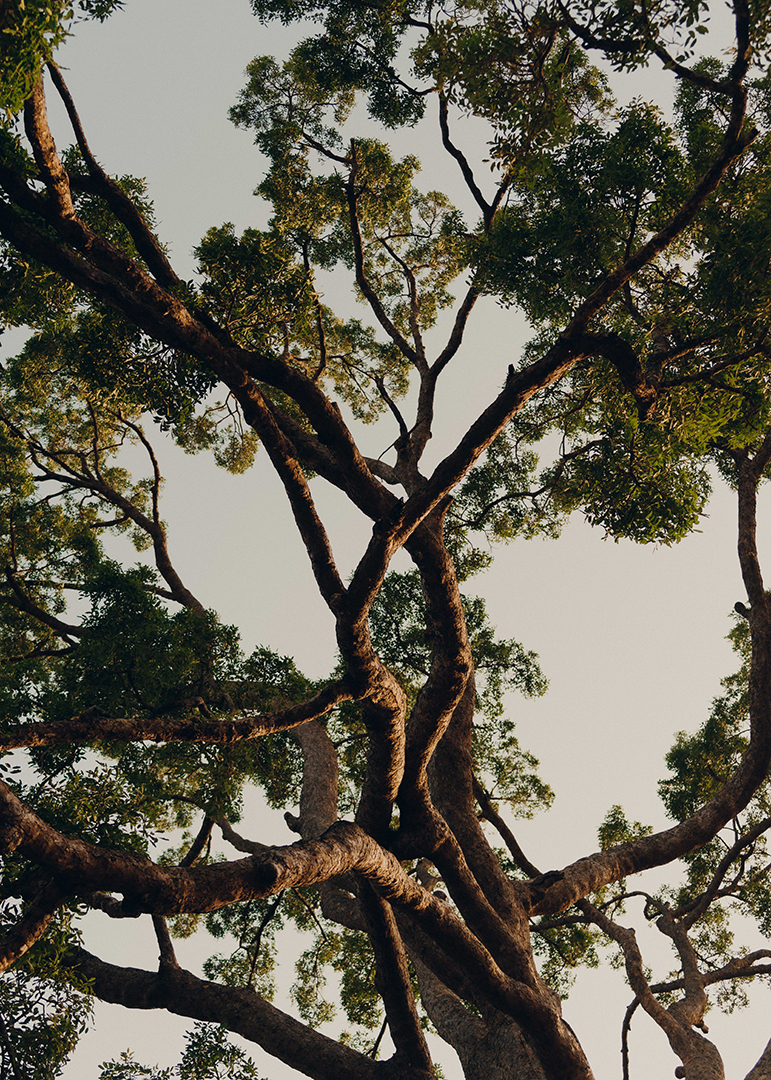 Charlotte Lapalus Photographer for Enaty