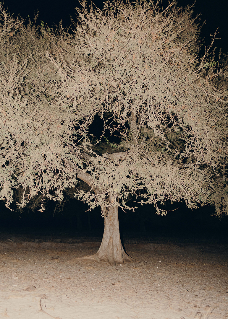 Charlotte Lapalus Photographer for Enaty