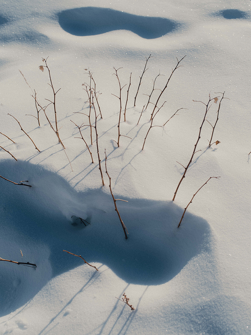Charlotte Lapalus Photographer for Marlène, Libraryman edition