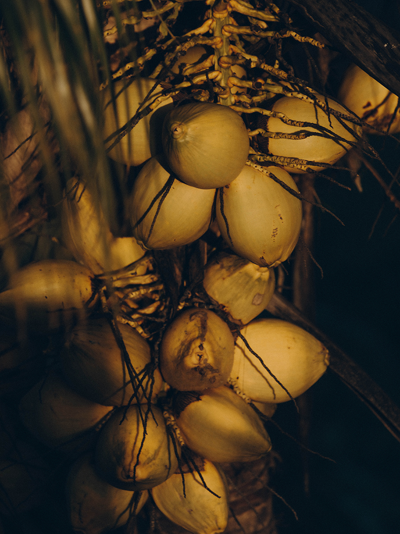 Charlotte Lapalus Photographer for Marsell