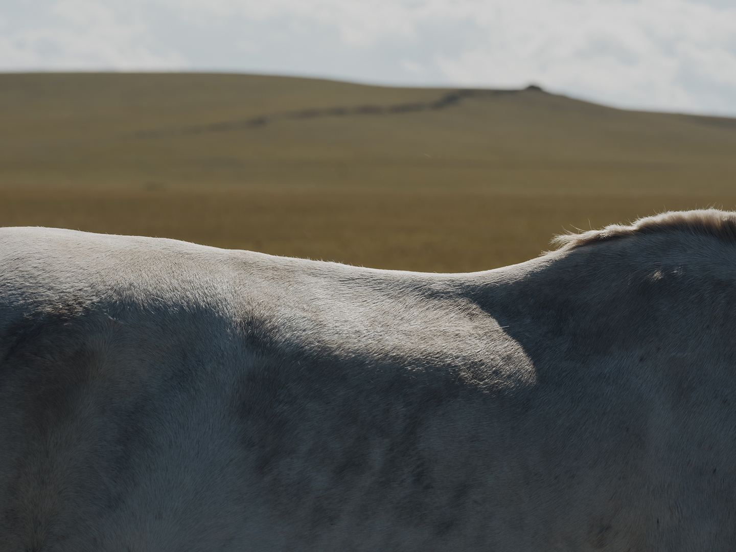 Charlotte Lapalus Photographer for Mongolia