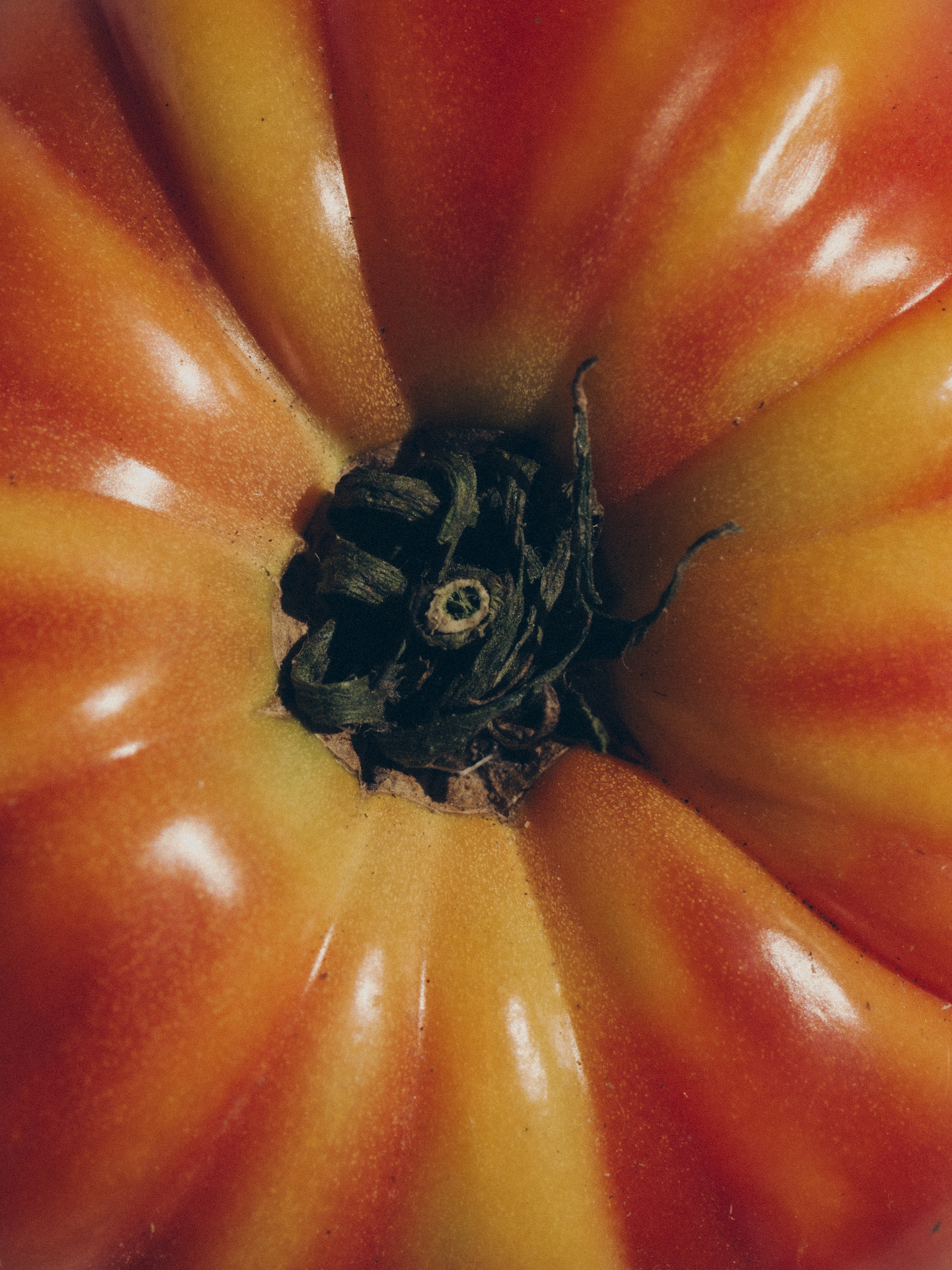 Giulia Querenghi Stylist for Cose Journal