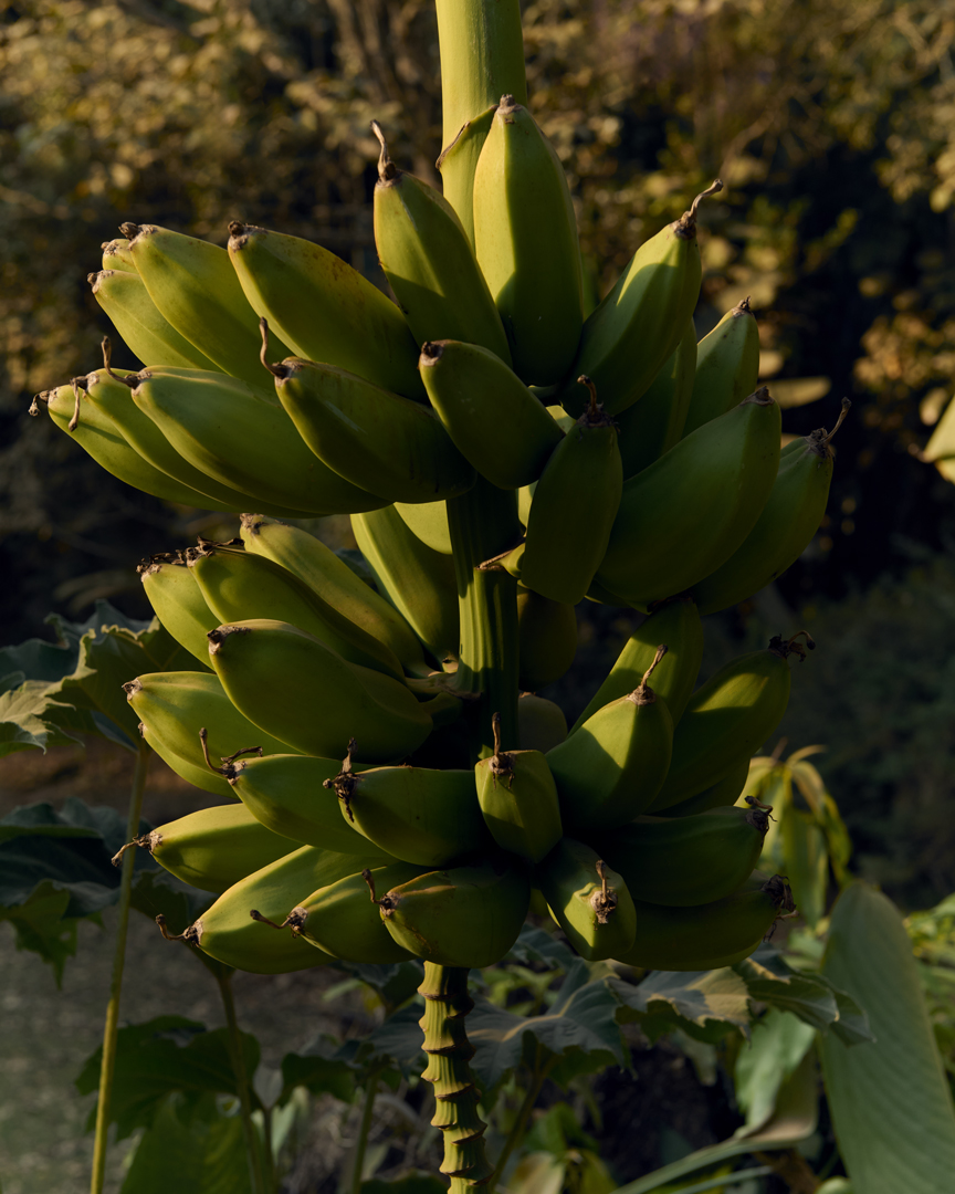 Jade Deshayes Photographer for Where Winter Dresses up as Summer