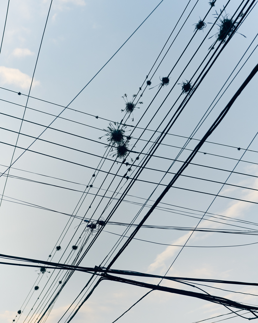 Jade Deshayes Photographer for Where Winter Dresses up as Summer