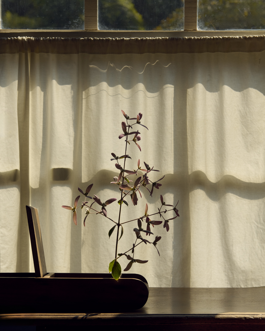 Jade Deshayes Photographer for Where Winter Dresses up as Summer