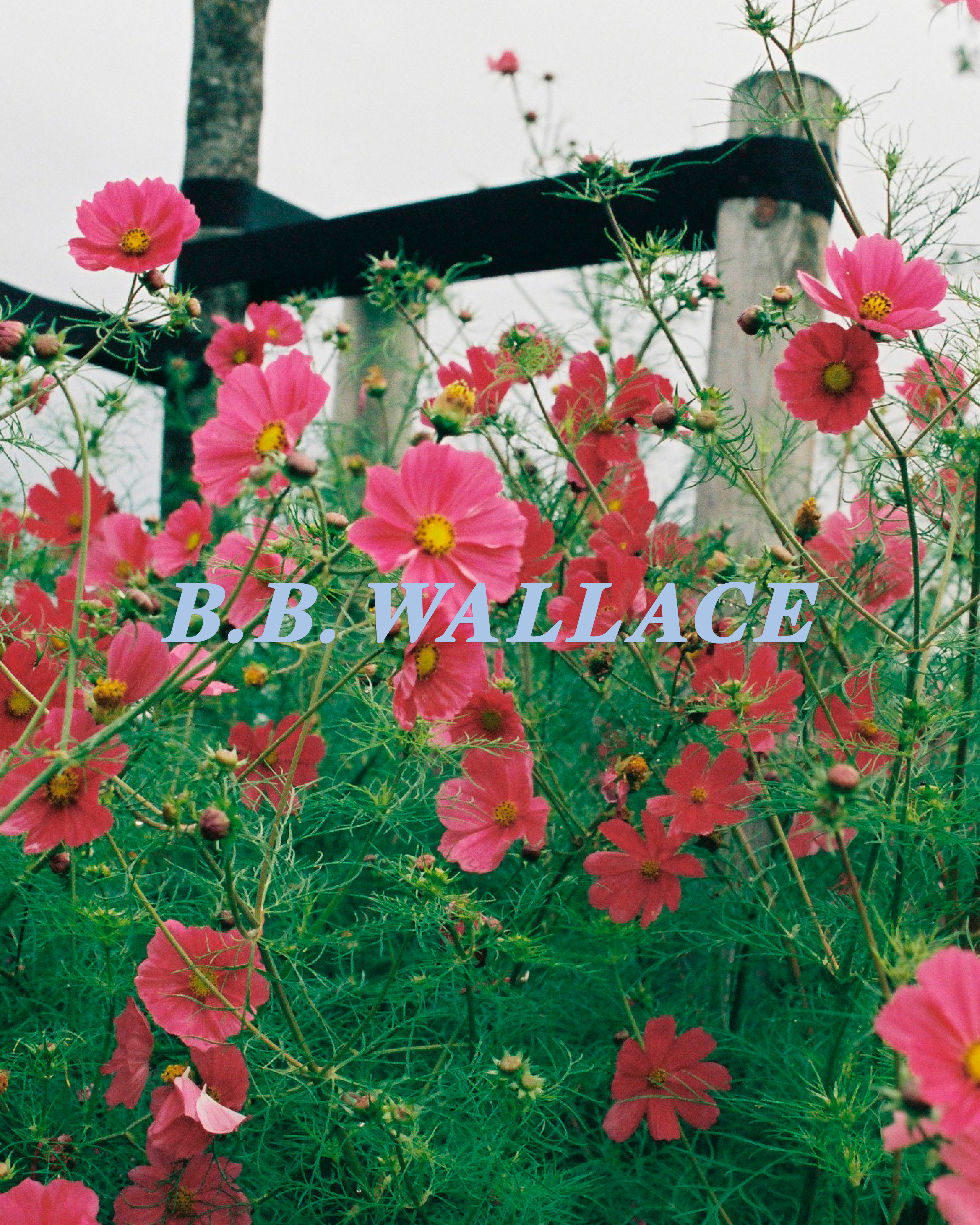 Marie Déhé Photographer for BB Wallace