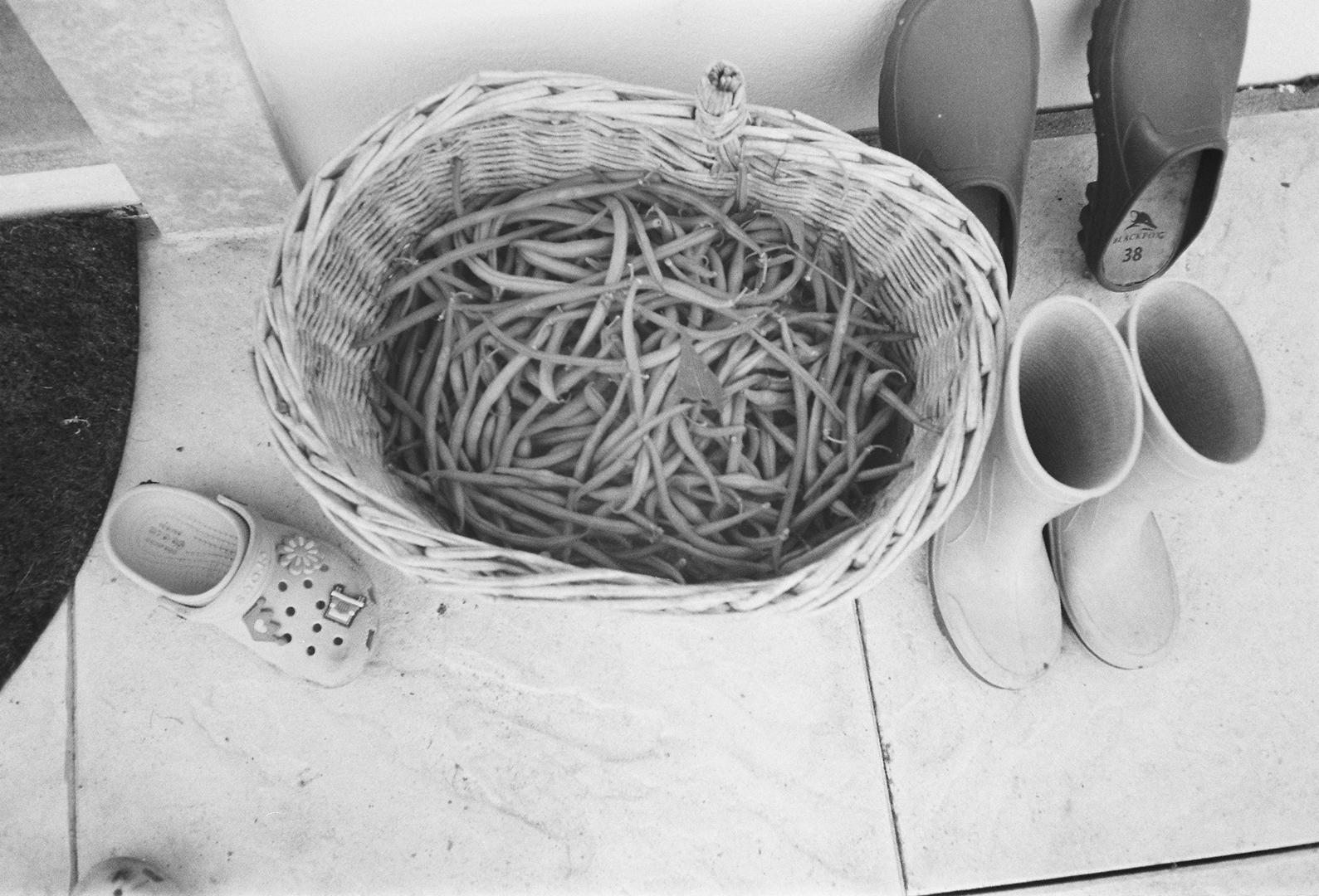 Marie Déhé Photographer for Domestic Photography