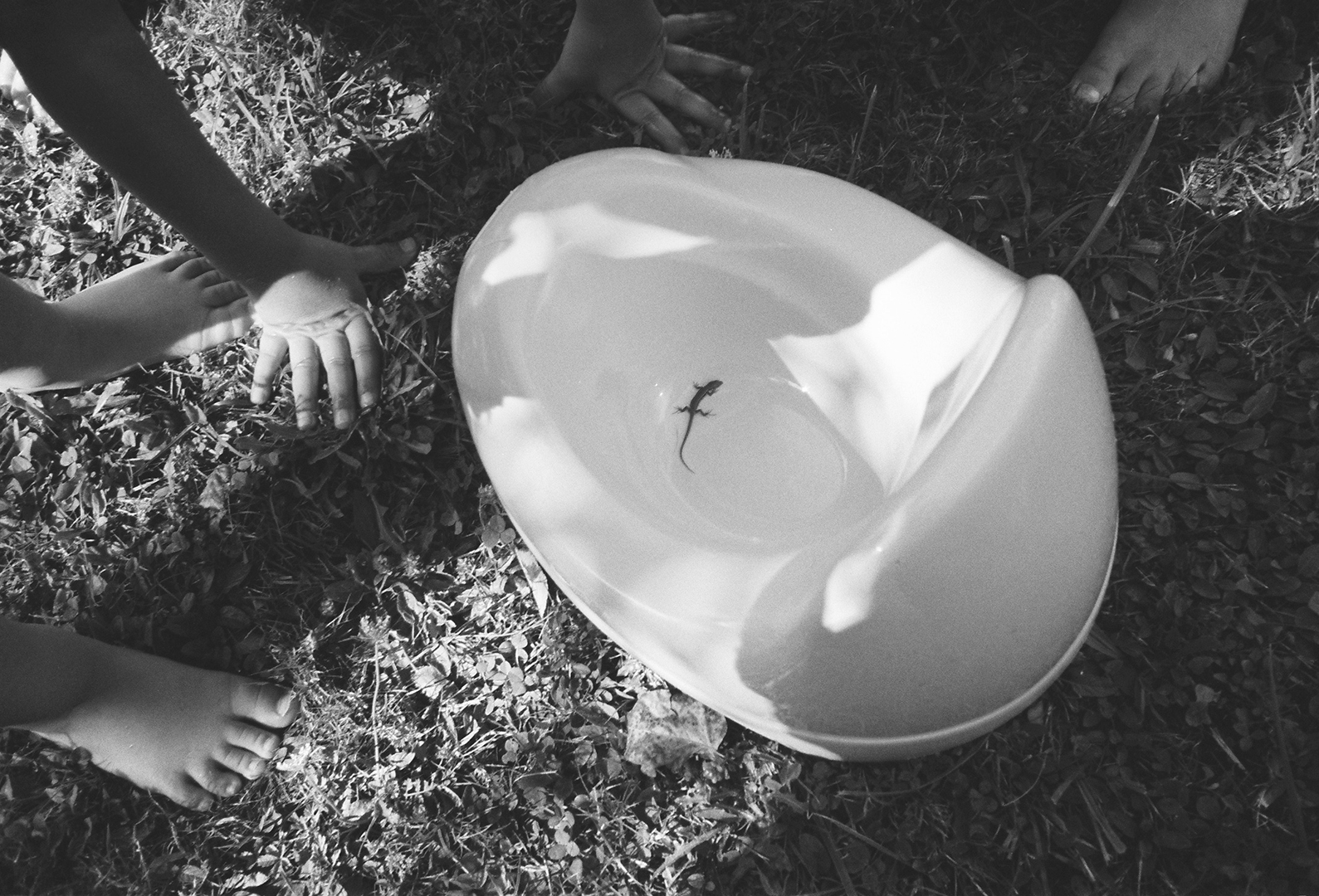 Marie Déhé Photographer for Domestic Photography