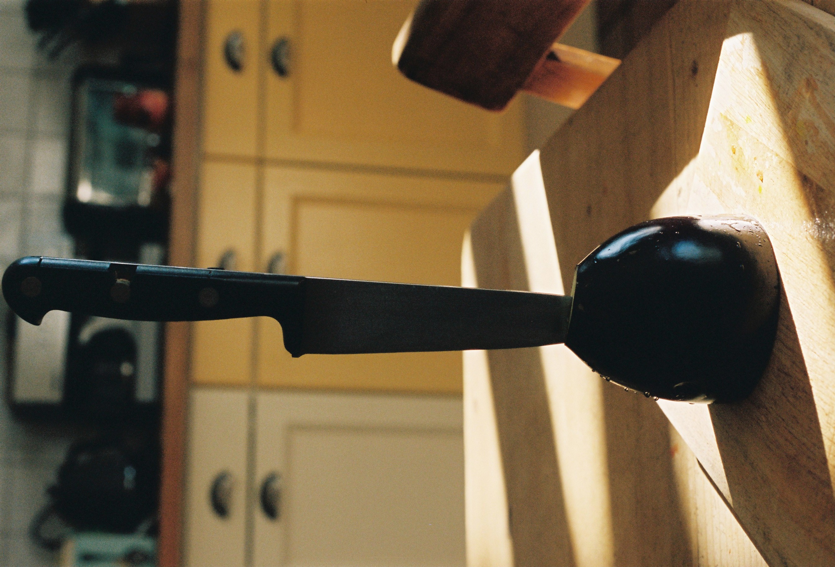 Marie Déhé Photographer for Domestic Photography