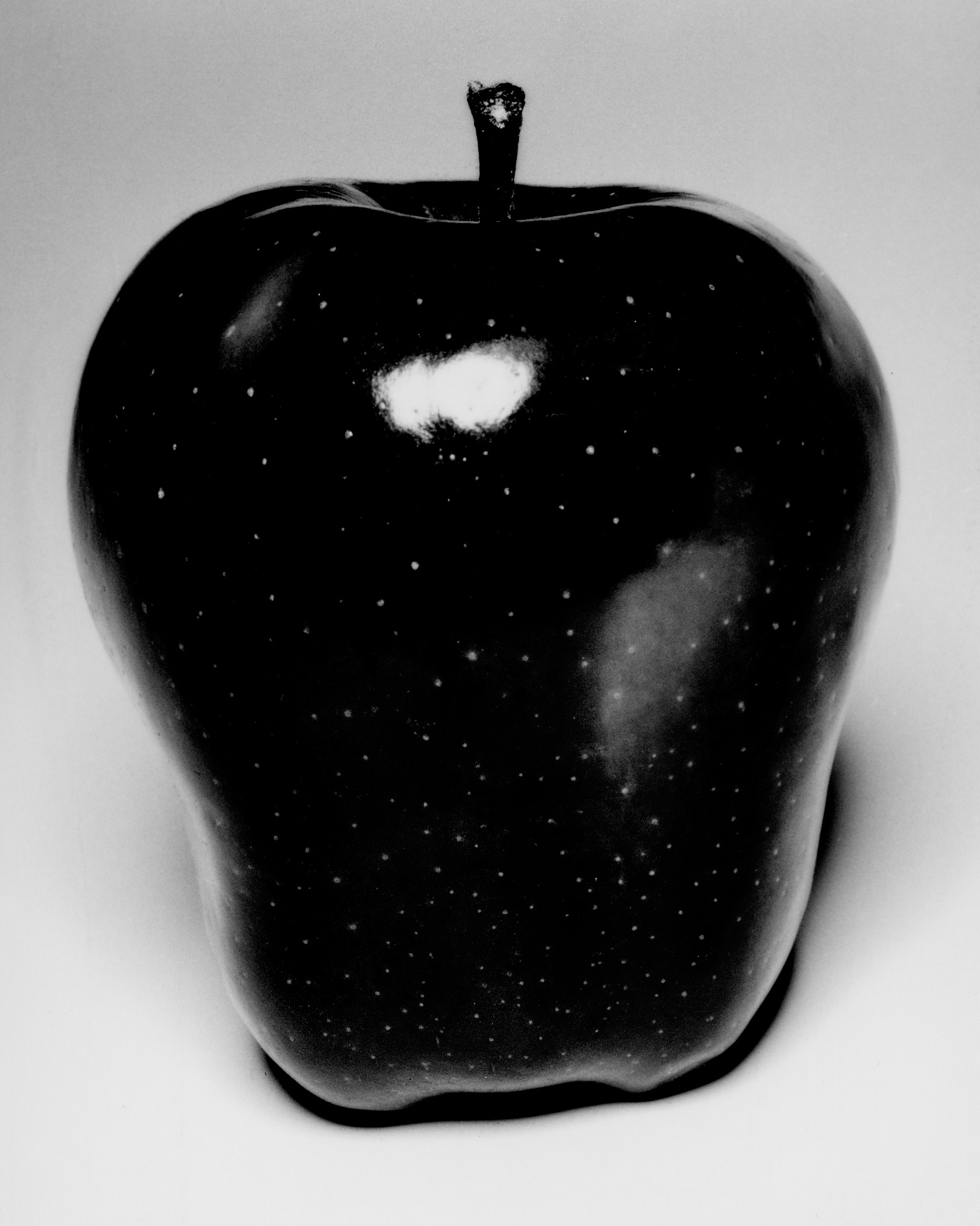 Michele Di Dio Photographer for Atmos