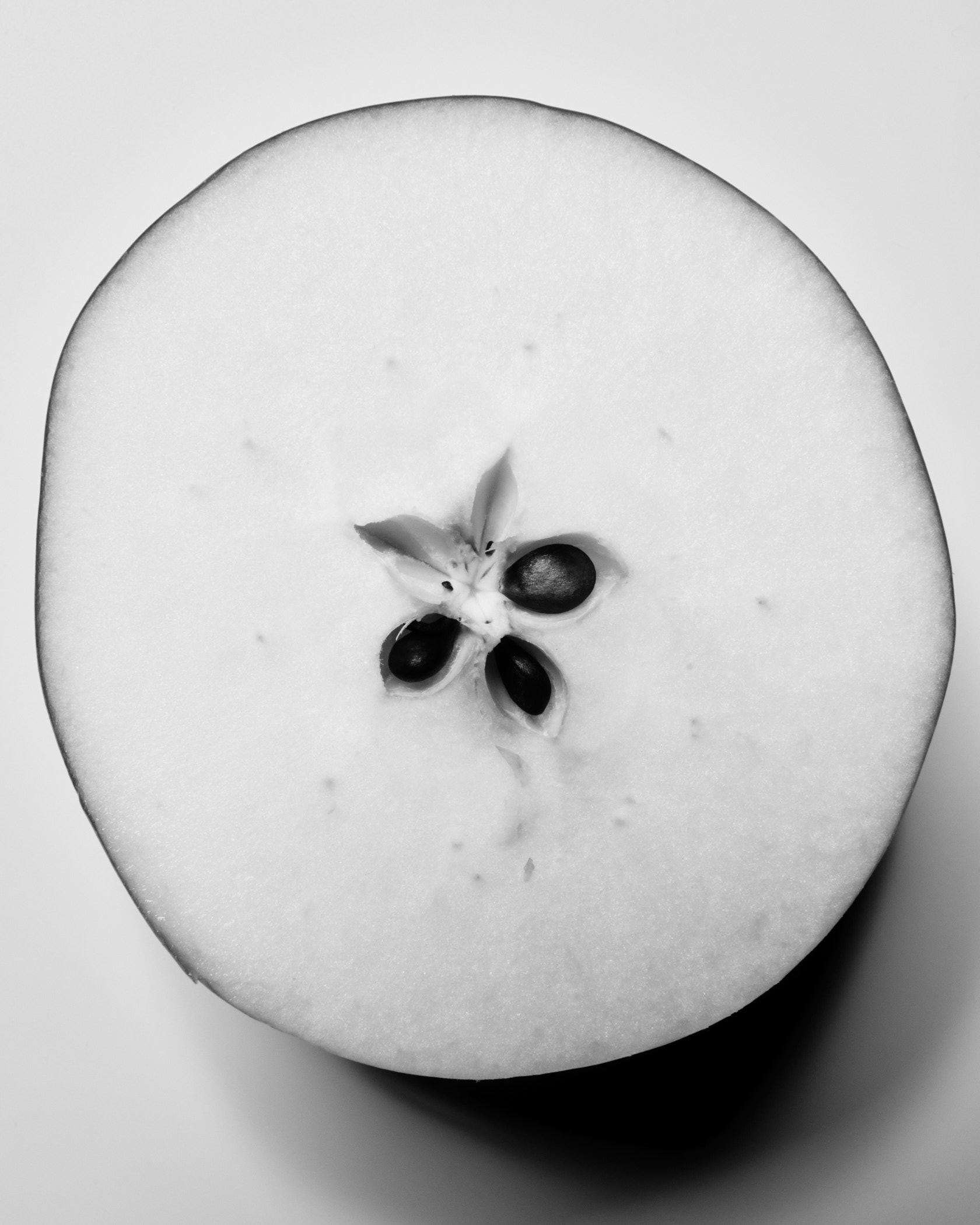 Michele Di Dio Photographer for Atmos