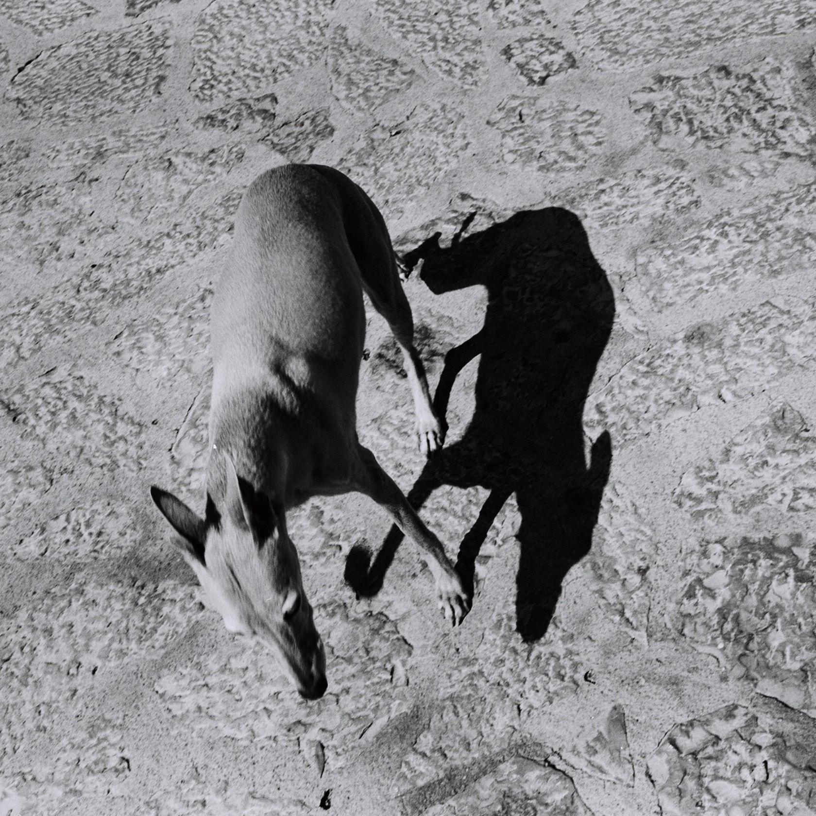 Michele Di Dio Photographer for Personal works II