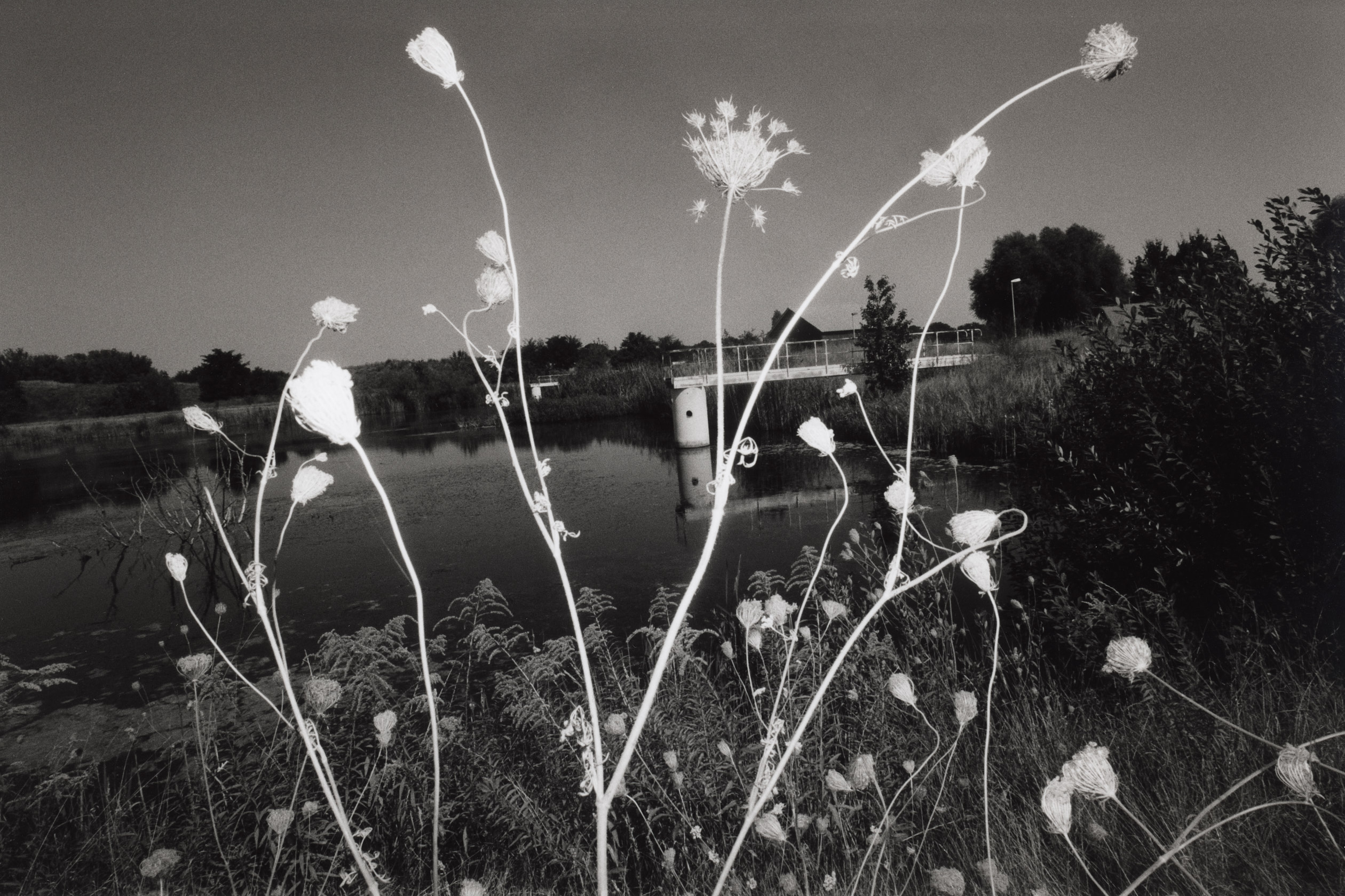 Michele Di Dio Photographer for Z Magazine